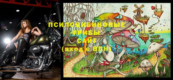 ГАЛЛЮЦИНОГЕННЫЕ ГРИБЫ Алзамай